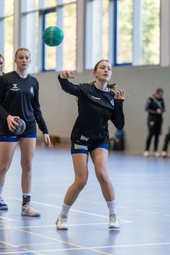 Bild 29 - wBJ HTS/BW96 Handball - Niendorfer TSV : Ergebnis: 27:27